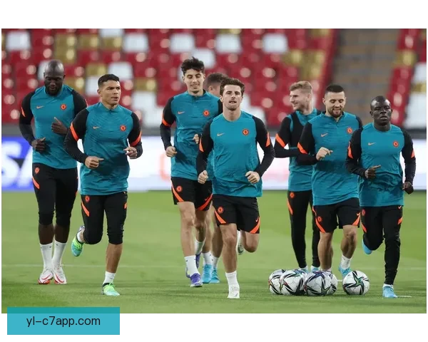 内尔高谈携手热苏斯全力备战赛